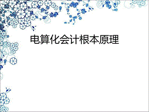 电算化会计基本原理.ppt