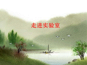 走进实验室ppt课件.ppt