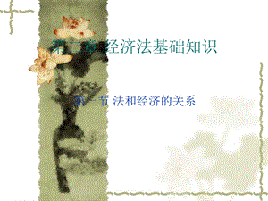 第二章经济法基础.ppt