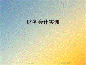 财务会计实训.ppt