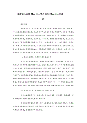 xxx镇人大办20xx年工作总结及20xx年工作计划.docx