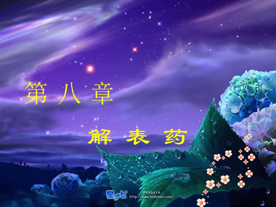 中药学课件(解表药)PPT课件.ppt_第2页