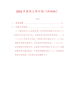 2023中医院工作计划（详细版）.docx