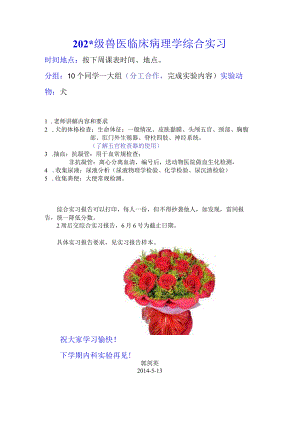 11级临床病理学综合实习流程范文.docx