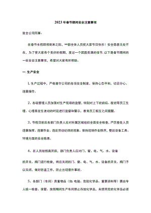 2023年春节期间安全注意事项.docx