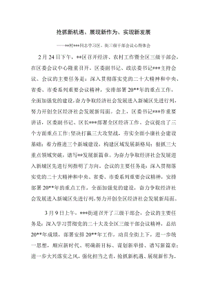 xx村村三级干部会议心得体会.docx