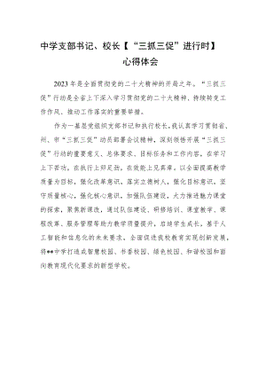 中学支部书记、校长【“三抓三促”进行时】心得体会.docx