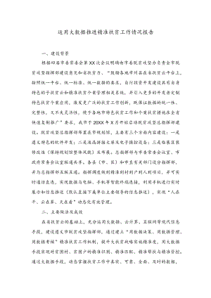 公文写作之报告128运用大数据推进精准扶贫工作情况报告.docx
