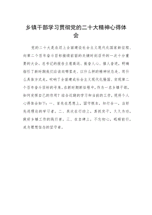 乡镇干部学习贯彻党的二十大精神心得体会.docx