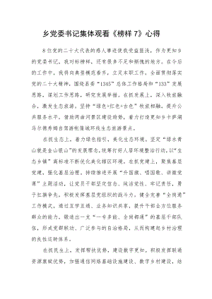 乡党委书记集体观看《榜样7》心得.docx