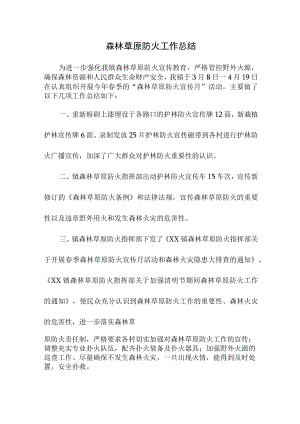 乡镇森林草原防火工作专项总结.docx