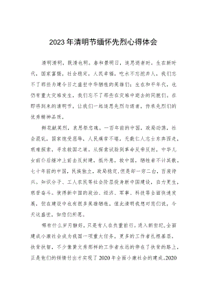 2023年清明节缅怀先烈心得感悟.docx