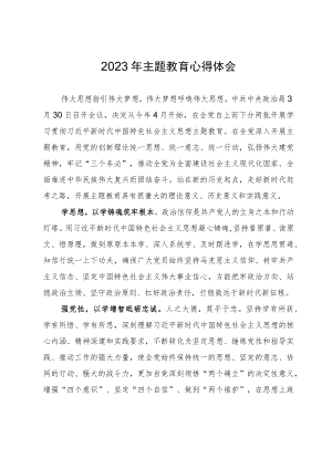 2023年主题教育心得体会四.docx