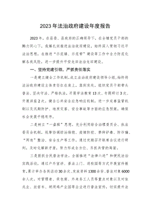 2023年法治政府建设年度报告.docx