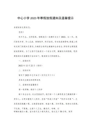 中心小学2023年寒假放假通知及温馨提示.docx