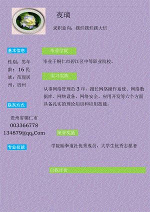 个人简历模板10.docx