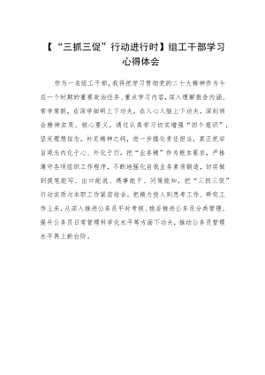 【“三抓三促”行动进行时】组工干部学习心得体会.docx