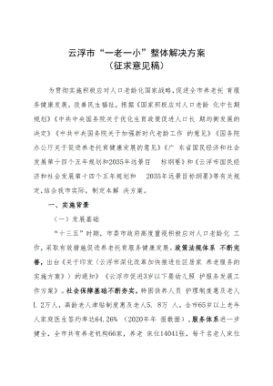云浮市“一老一小”整体解决方案.docx