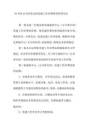XX单位公司村党支部党建工作经费使用管理办法.docx