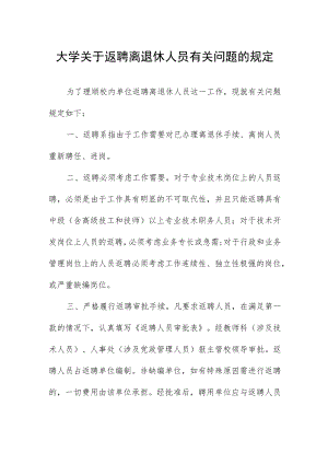大学关于返聘离退休人员有关问题的规定.docx