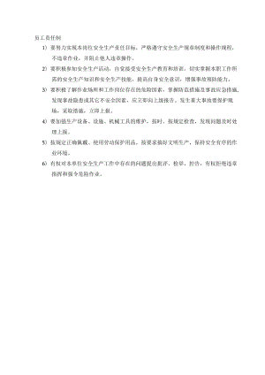 员工安全领导安全责任制.docx