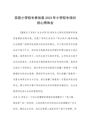 实验小学校长参加县2023年小学校长培训班心得体会七篇.docx