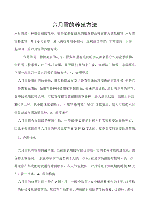 六月雪的养殖方法.docx