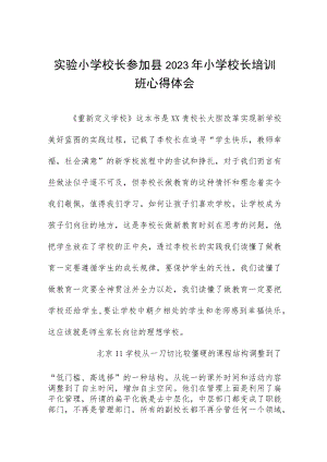 实验小学校长参加县2023年小学校长培训班心得体会六篇.docx