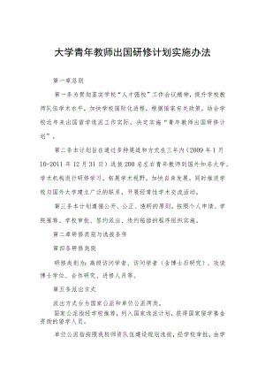 大学青年教师出国研修计划实施办法.docx