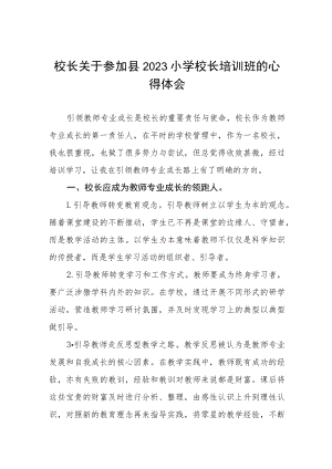 小学校长参加2023年校长培训心得体会七篇.docx