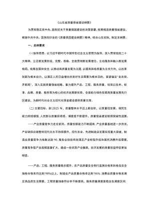 山东省质量强省建设纲要.docx