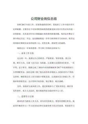 公司财务会计岗位工作总结范文模板.docx