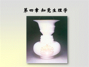 04知觉生理学.ppt