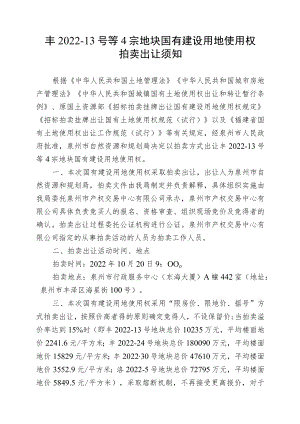 国有建设用地使用权拍卖出让须知.docx
