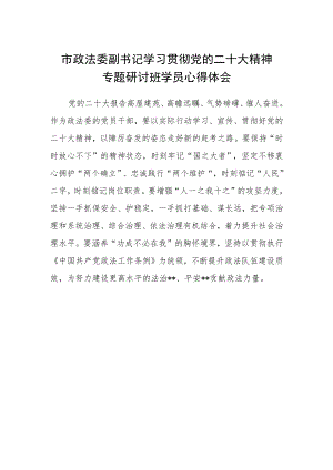 市政法委副书记学习贯彻党的二十大精神专题研讨班学员心得体会.docx