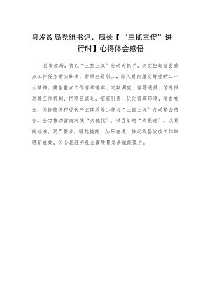 县发改局党组书记、局长【“三抓三促”进行时】心得体会感悟.docx