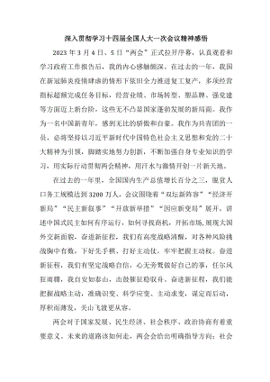 基层民警党员干部《深入贯彻学习十四届全国人大》一次会议精神心得领悟 （精编5份）.docx