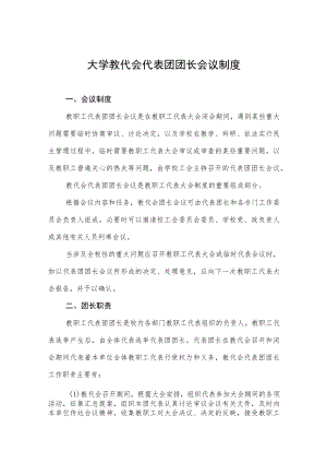 大学教代会代表团团长会议制度.docx