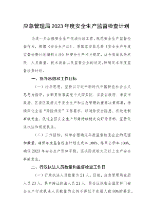应急管理局2023年度安全生产监督检查计划.docx