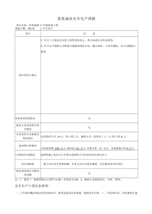 安全监理周报 模板.docx