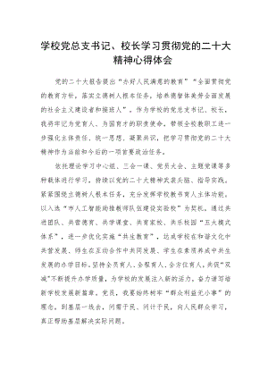 学校党总支书记、校长学习贯彻党的二十大精神心得体会.docx