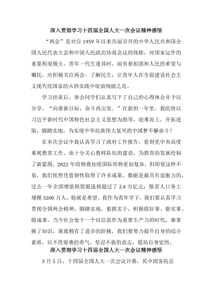 学校青年教师党员干部《深入贯彻学习十四届全国人大》一次会议精神心得领悟 （5份）.docx
