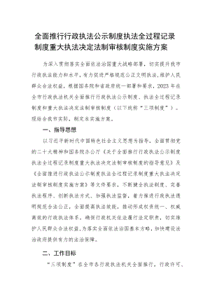 全面推行行政执法公示制度执法全过程记录制度重大执法决定法制审核制度实施方案.docx