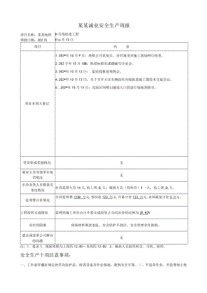安全监理周报 (5)模板.docx