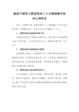 基层干部学习贯彻党的二十大精神集中轮训心得体会精选.docx
