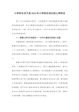 小学校长关于县2023年小学校长培训班心得体会.docx