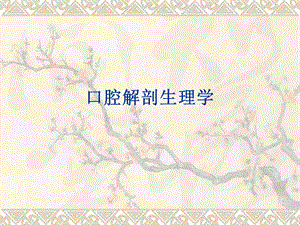 口腔解剖生理学..ppt