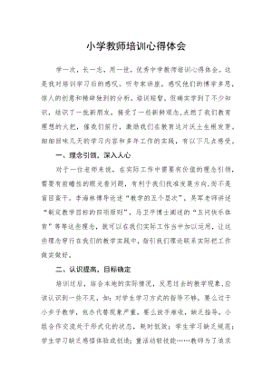 小学教师培训心得体会.docx