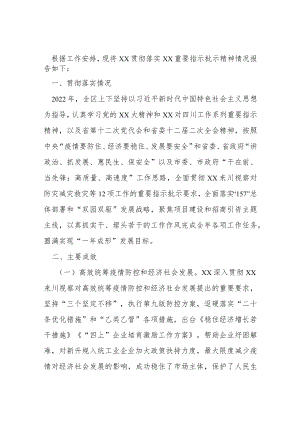关于xx重要指示批示贯彻落实情况的报告.docx