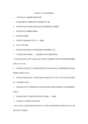 好氧池六大异常问题原因.docx